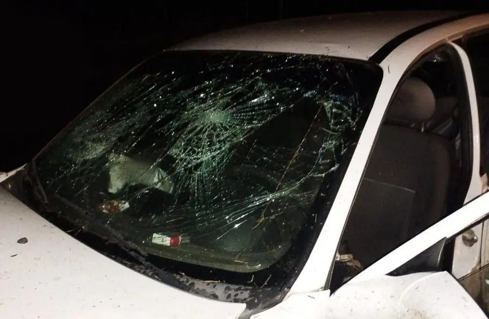 Villa Cañás: Accidente de tránsito en la curva S de Ruta Provincial 94 Villa Cañás: Accidente de tránsito en la curva S de Ruta Provincial 94