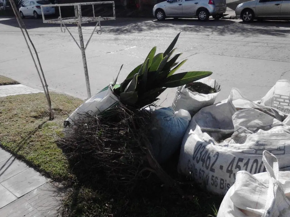 Villa Cañás: La Municipalidad no cumple con el servicio de recolección de residuos mayores Villa Cañás: La Municipalidad no cumple con el servicio de recolección de residuos mayores