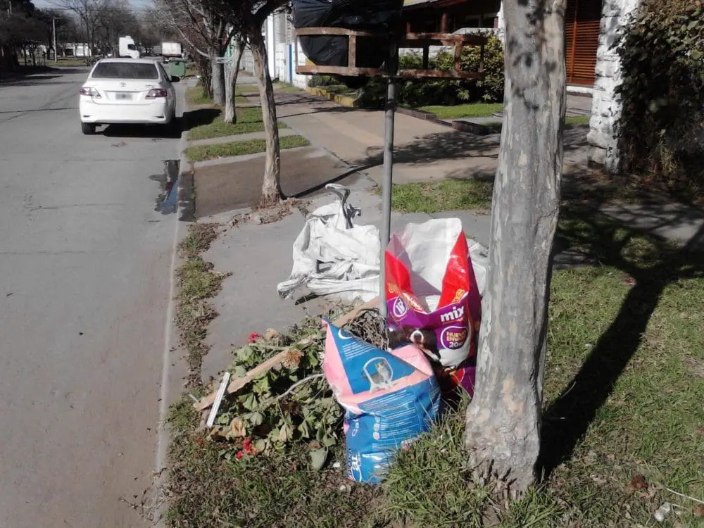 Villa Cañás: La Municipalidad no cumple con el servicio de recolección de residuos mayores Villa Cañás: La Municipalidad no cumple con el servicio de recolección de residuos mayores