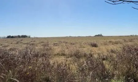 Murphy: La Comuna adquiere terreno para nuevo complejo residencial de adultos mayores