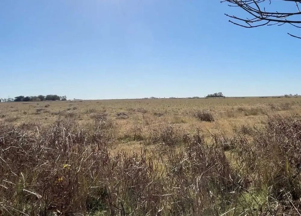 Murphy: La Comuna adquiere terreno para nuevo complejo residencial de adultos mayores