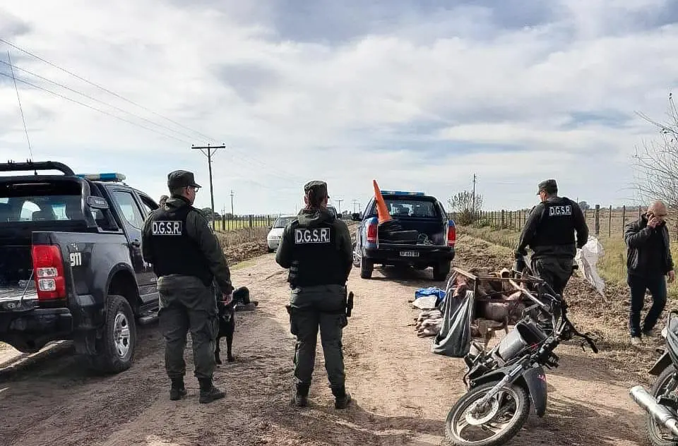 Abigeato agravado en Santa Isabel: Cinco detenidos por faena ilegal de porcinos