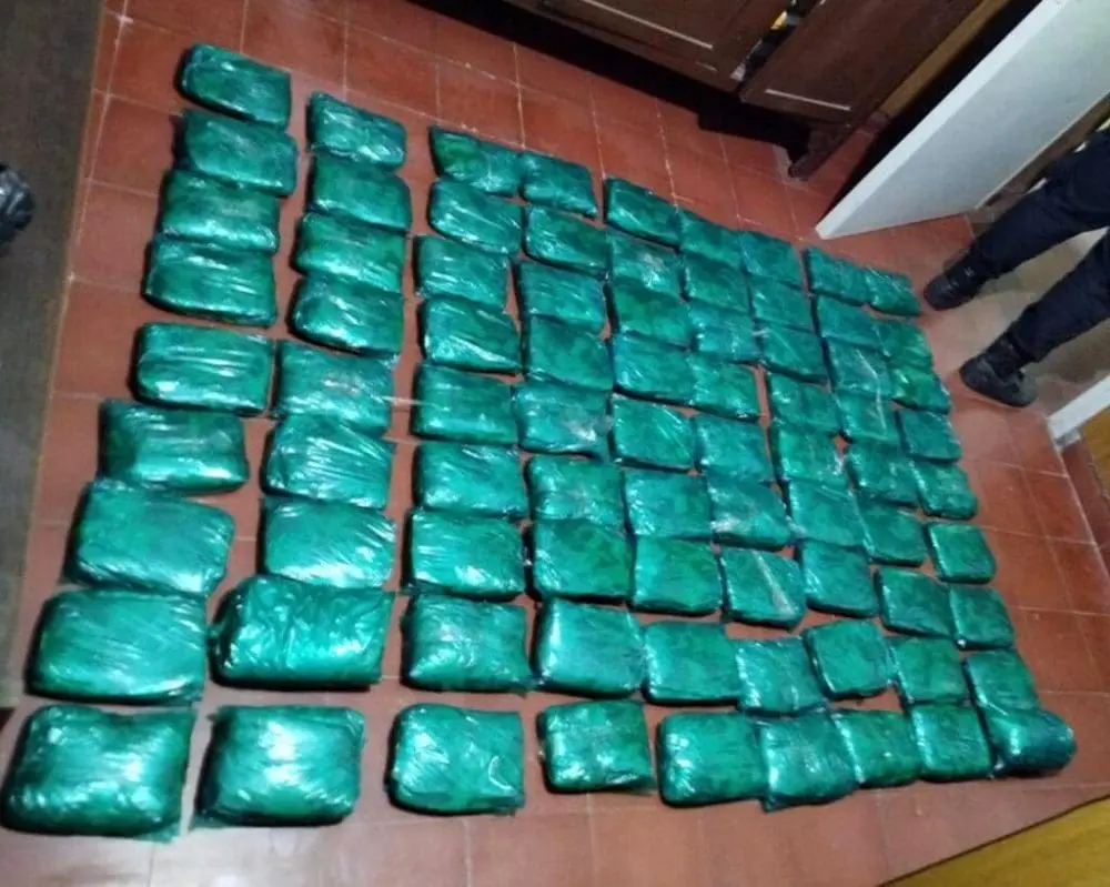 Detienen en Elortondo a joven de Teodelina con 20 kilos de hojas de coca Detienen en Elortondo a joven de Teodelina con 20 kilos de hojas de coca