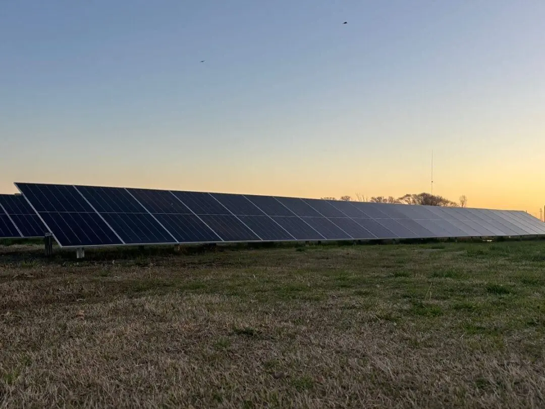 Parque Solar Colaborativo: María Teresa apuesta por la energía limpia