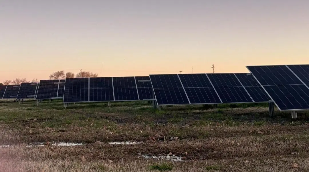 Parque Solar Colaborativo: María Teresa apuesta por la energía limpia