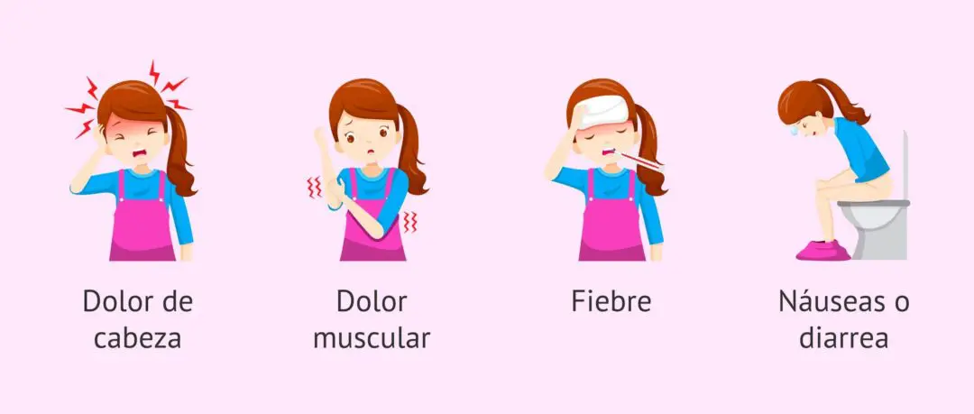 Listeriosis: Lo que hay que saber sobre esta enfermedad transmitida por quesos criollos