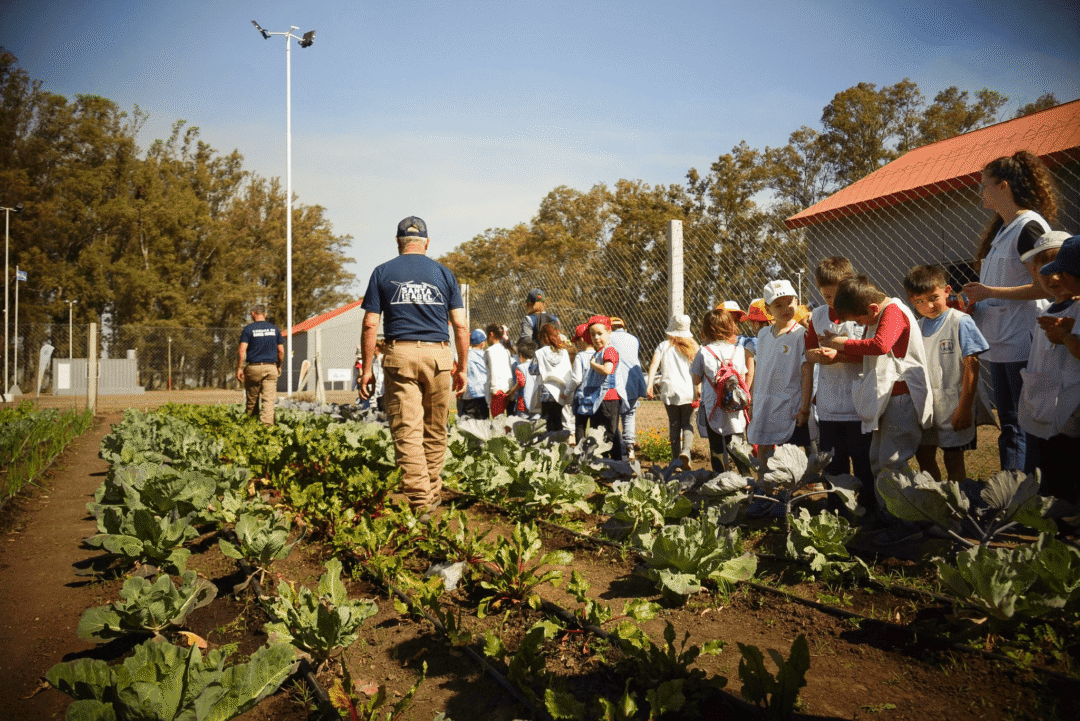 Huertas familiares: Santa Isabel y Pérez impulsan distribución de semillas para vecinos