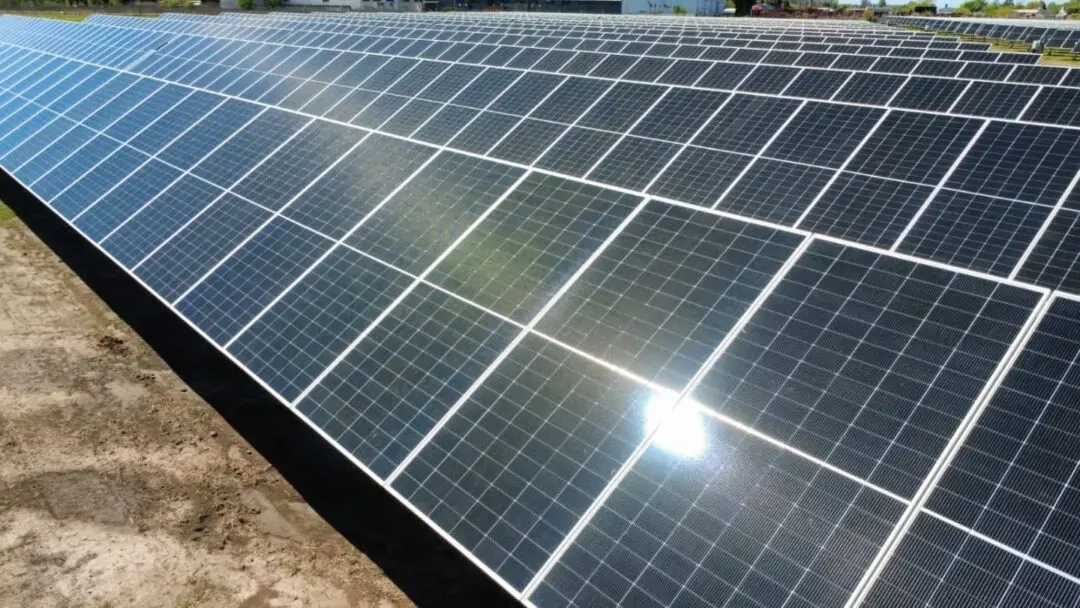 Firmat lidera el camino hacia un futuro sostenible con el primer parque solar de la región