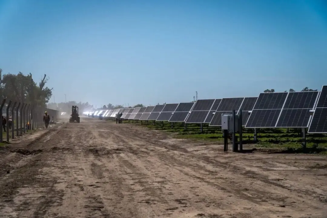 Firmat lidera el camino hacia un futuro sostenible con el primer parque solar de la región