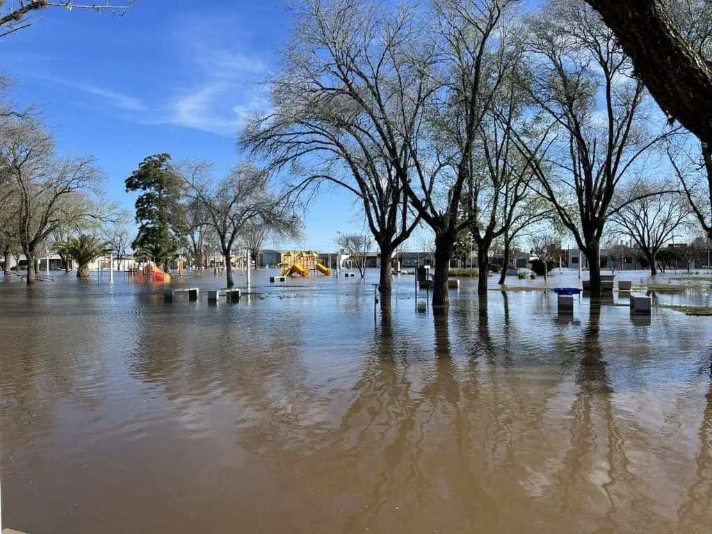 Caren Tepp en María Teresa: La solidaridad no alcanza, tiene que estar el Estado Caren Tepp en María Teresa: La solidaridad no alcanza, tiene que estar el Estado