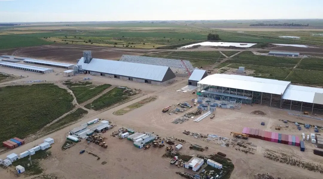 Con una inversión récord, MSU avanza en Rufino con la mayor planta procesadora de maní