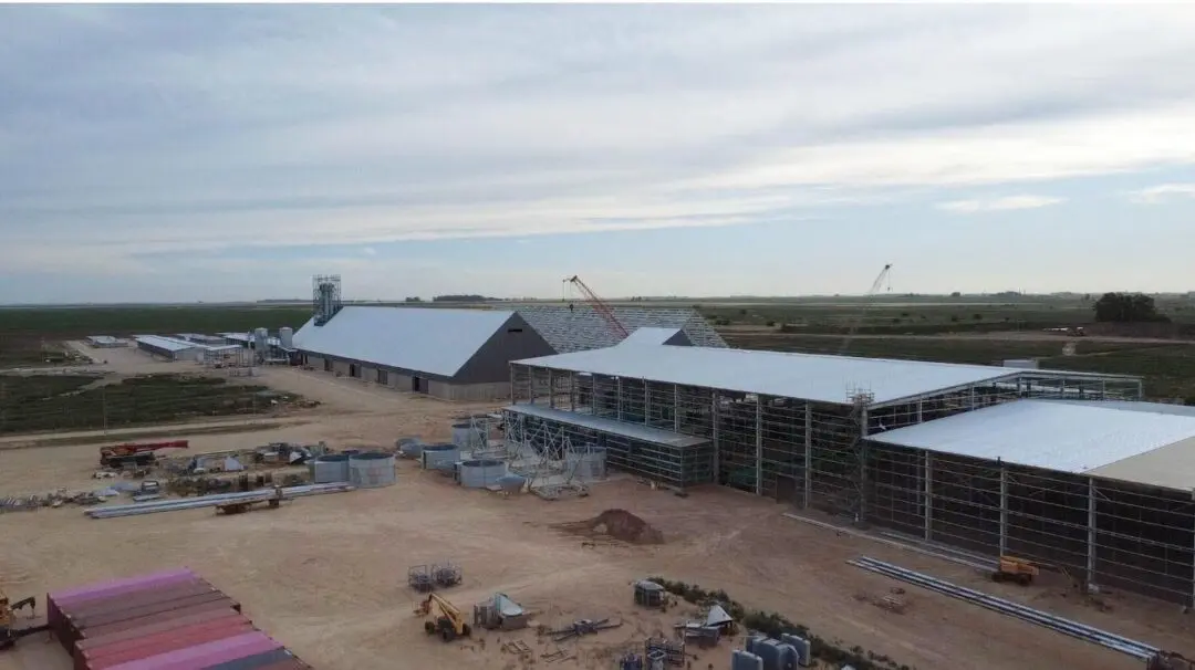 Con una inversión récord, MSU avanza en Rufino con la mayor planta procesadora de maní