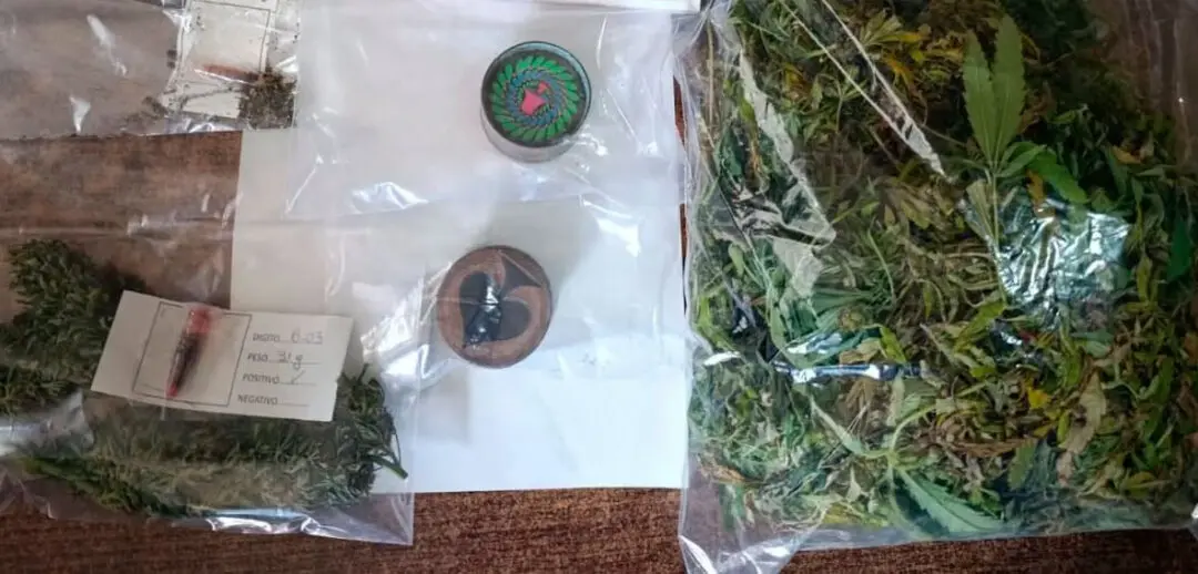 Hughes: Secuestran casi medio kilo de marihuana en un allanamiento