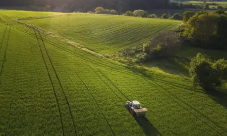 Santa Fe: La diputada Castellani presentó un proyecto para reformar el esquema impositivo del campo