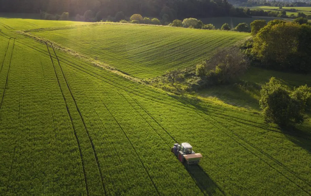Santa Fe: La diputada Castellani presentó un proyecto para reformar el esquema impositivo del campo