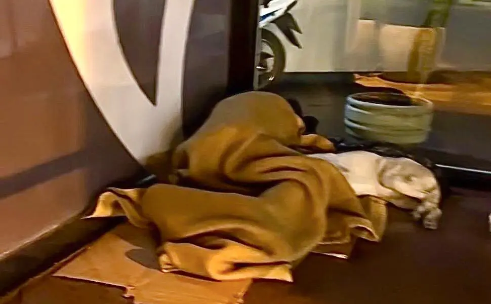 Venado Tuerto: Alertan por el aumento de personas en situación de calle