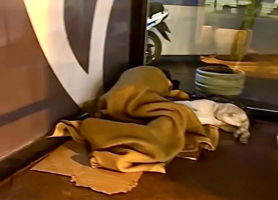 Venado Tuerto: Alertan por el aumento de personas en situación de calle