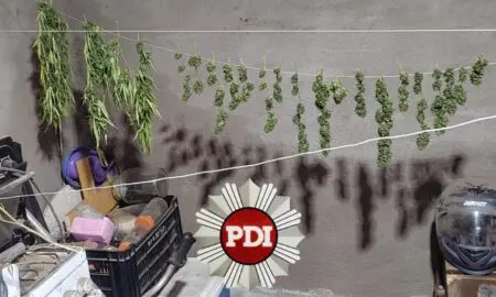 Melincué: Dos detenidos tras un allanamiento por presunta venta de drogas