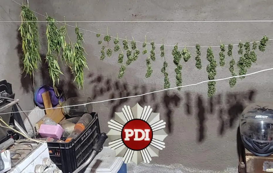 Melincué: Dos detenidos tras un allanamiento por presunta venta de drogas