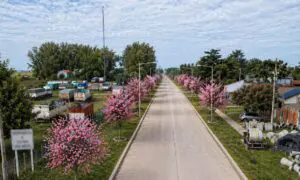 Santa Isabel pavimenta Avenida Santa Fe y avanza con mejoras urbanas