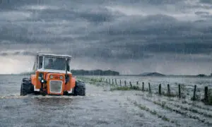 El Niño gana fuerza: Alertan por más lluvias y riesgo hídrico en el agro