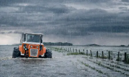 El Niño gana fuerza: Alertan por más lluvias y riesgo hídrico en el agro