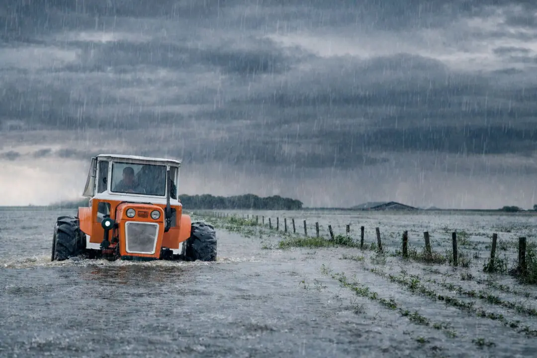 El Niño gana fuerza: Alertan por más lluvias y riesgo hídrico en el agro