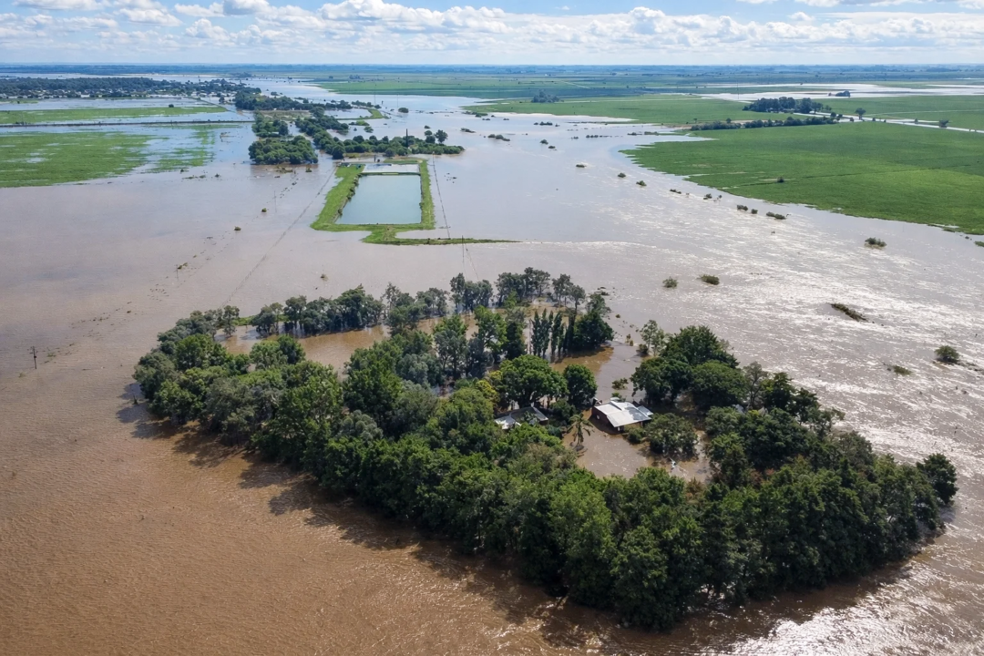 El Niño gana fuerza: Alertan por más lluvias y riesgo hídrico en el agro