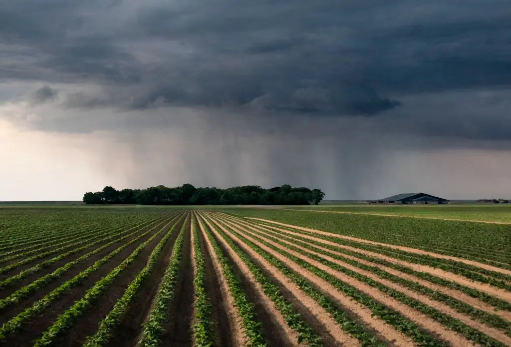 El Niño gana fuerza: Alertan por más lluvias y riesgo hídrico en el agro