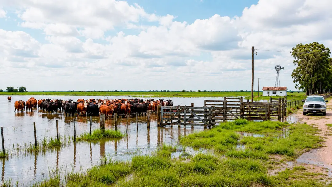 La Provincia también busca proteger producción y caminos rurales