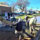 Villa Cañás avanza con nuevas obras de pavimento y mejoras en calles de tierra