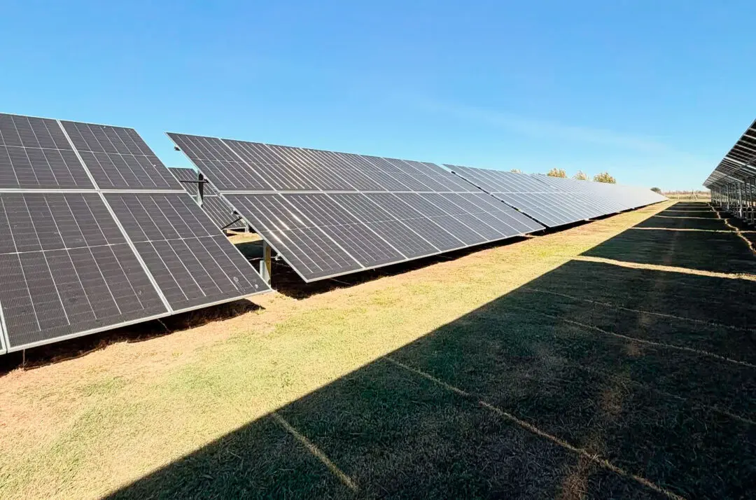Cooperativismo Regional: María Teresa y San Gregorio ampliaron sus parques solares