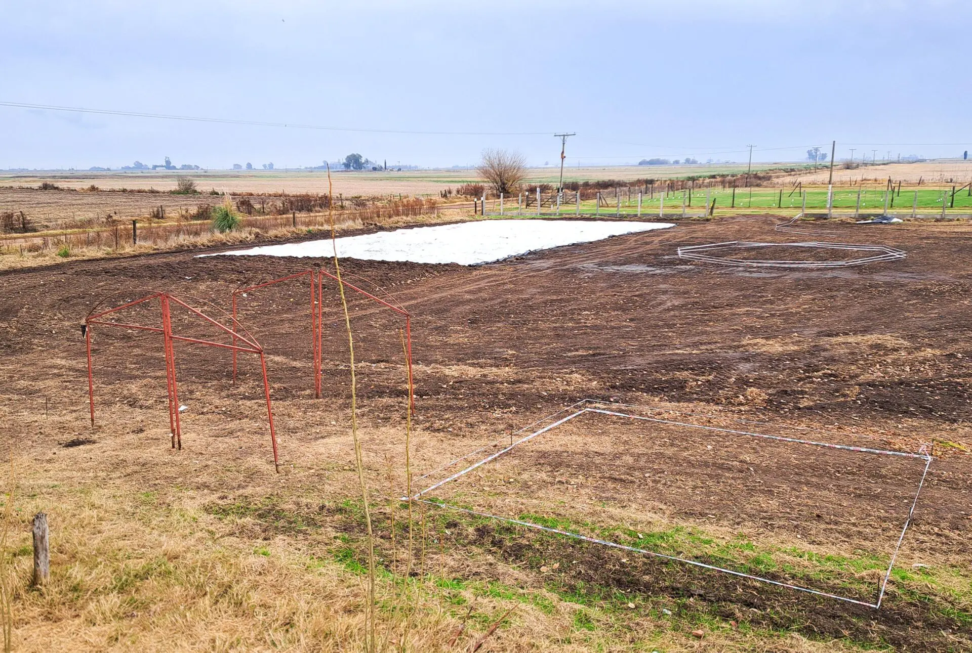 Villa Cañás transformará hojas y residuos verdes en nuevos árboles para la ciudad
