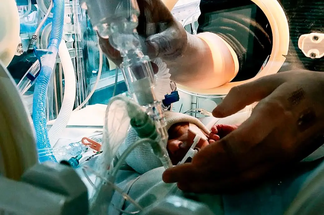 María Teresa: Premiaron una foto sobre los cuidados de enfermería neonatal