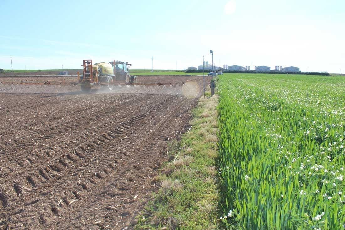 Venado Tuerto: Advierten sobre el uso de agroquímicos