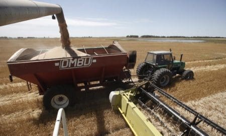 El Gobierno subió las retenciones al campo