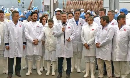 El Gobierno anunció que le venderá carne de cerdo a China