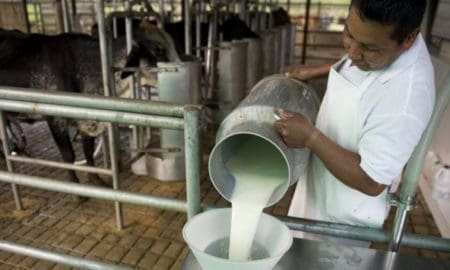 Venado Tuerto: El municipio y la Cooperativa La Taba ofrecerán leche entre 35 y 38 pesos el litro