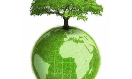 Villa Cañás: Actividad por el Día del Árbol