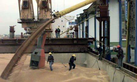 Harina de soja: tras 20 años, se abrió un negocio a China de US$1600 millones
