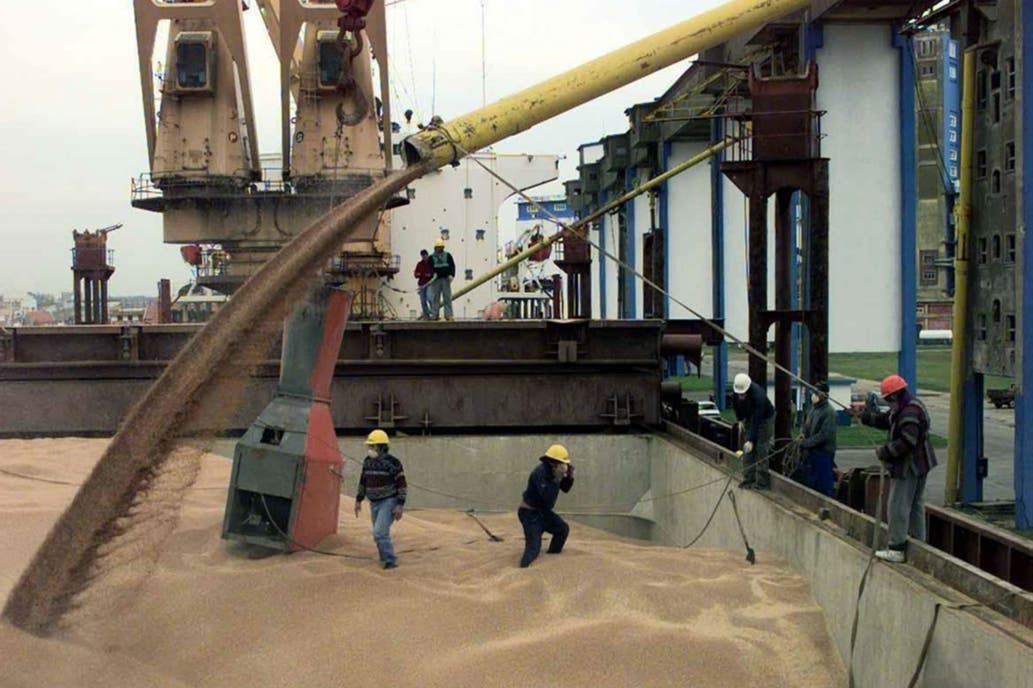 Harina de soja: tras 20 años, se abrió un negocio a China de US$1600 millones
