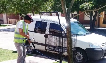 Villa Cañás: Aplicación de productos biológicos para el control de las gatas peludas