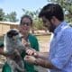 Venado Tuerto: Impulsan la campaña "Pirotecnia Cero"