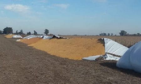 Murphy: Productores agropecuarios sufrieron la vandalización de silobolsas