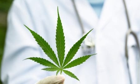 Cannabis medicinal: permitirán cultivo personal y expendio de aceites en farmacias