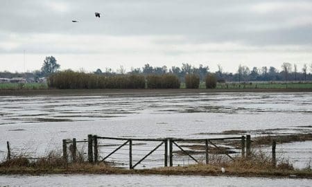 Enrico pide al gobierno provincial que se cumpla la ley que exime a productores inundados del pago de impuestos