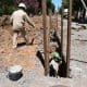 Elortondo: Enrico solicita al gobierno provincial que continúe la obra de cloacas