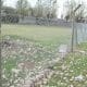 Venado Tuerto: Enrico informó que continuan las obras de mejoras en Cancha de Sacachispa