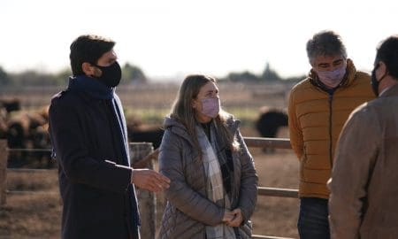 Pullaro: “Le pedimos a Perotti que de una vez por todas defienda los intereses de los habitantes de esta provincia”