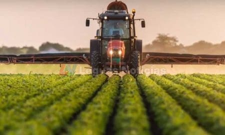 Se prohibirá el clorpirifós un peligroso pesticida vinculado al daño cerebral en los niños